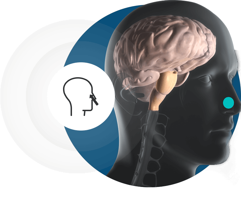 ali-erdem-endoscopic-endonasal