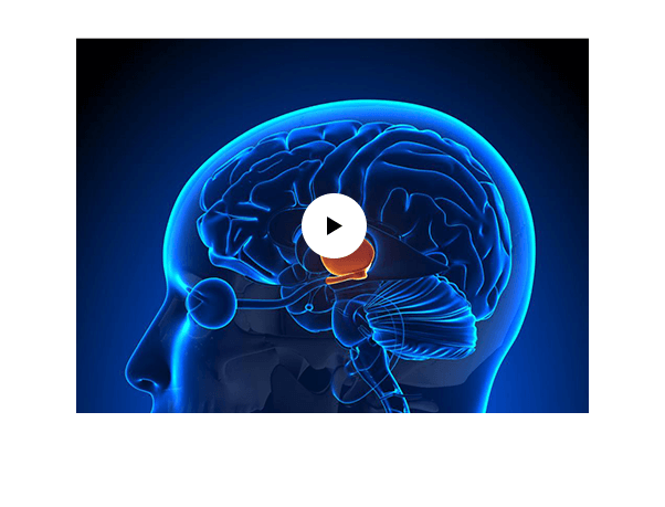 ali_erdem_yildirim_video_kanal24_2