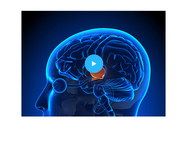 ali_erdem_yildirim_video_kanal24_3